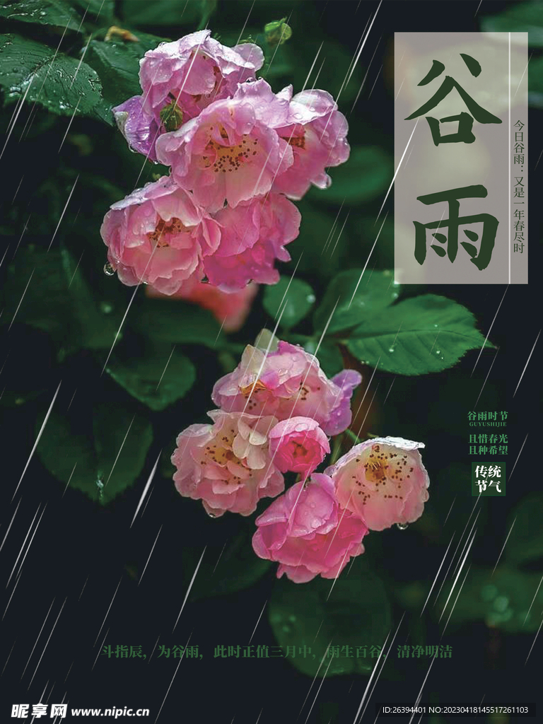 谷雨