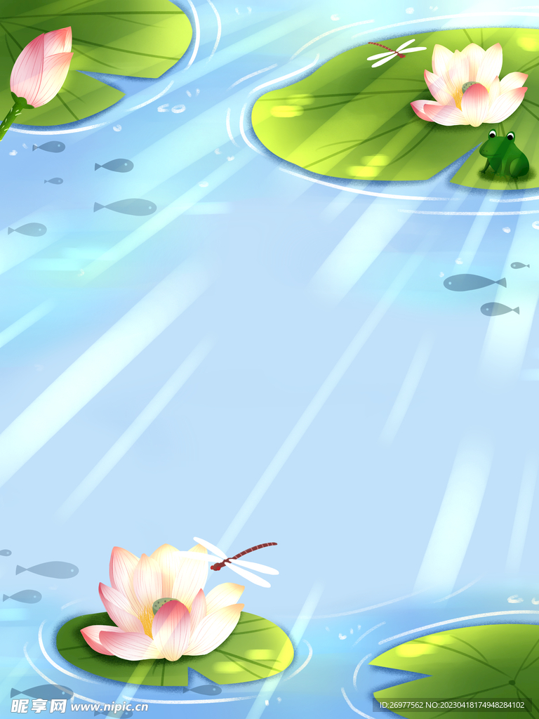  荷花背景