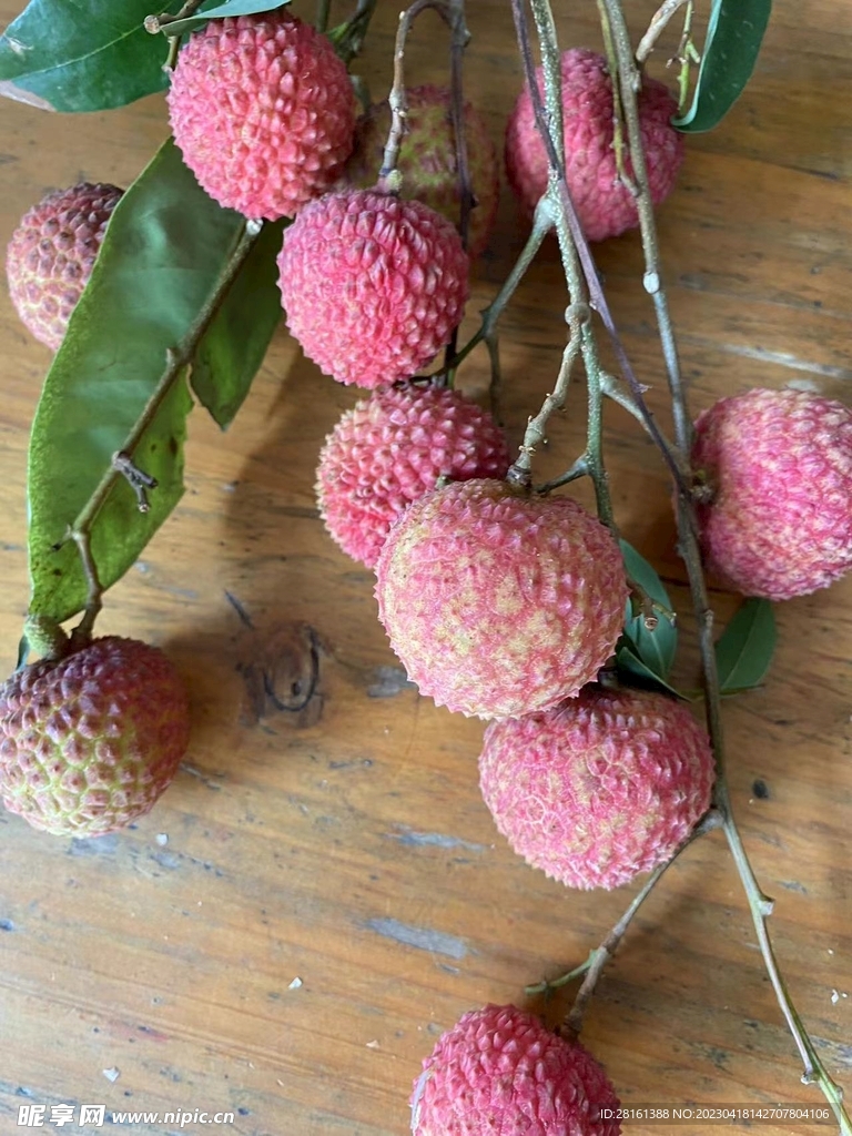 荔枝 桂味