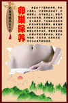 中华传统养生文化之卵巢保养