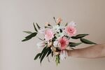 丁香花