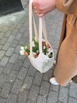 郁金香
