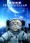 星际猫航员