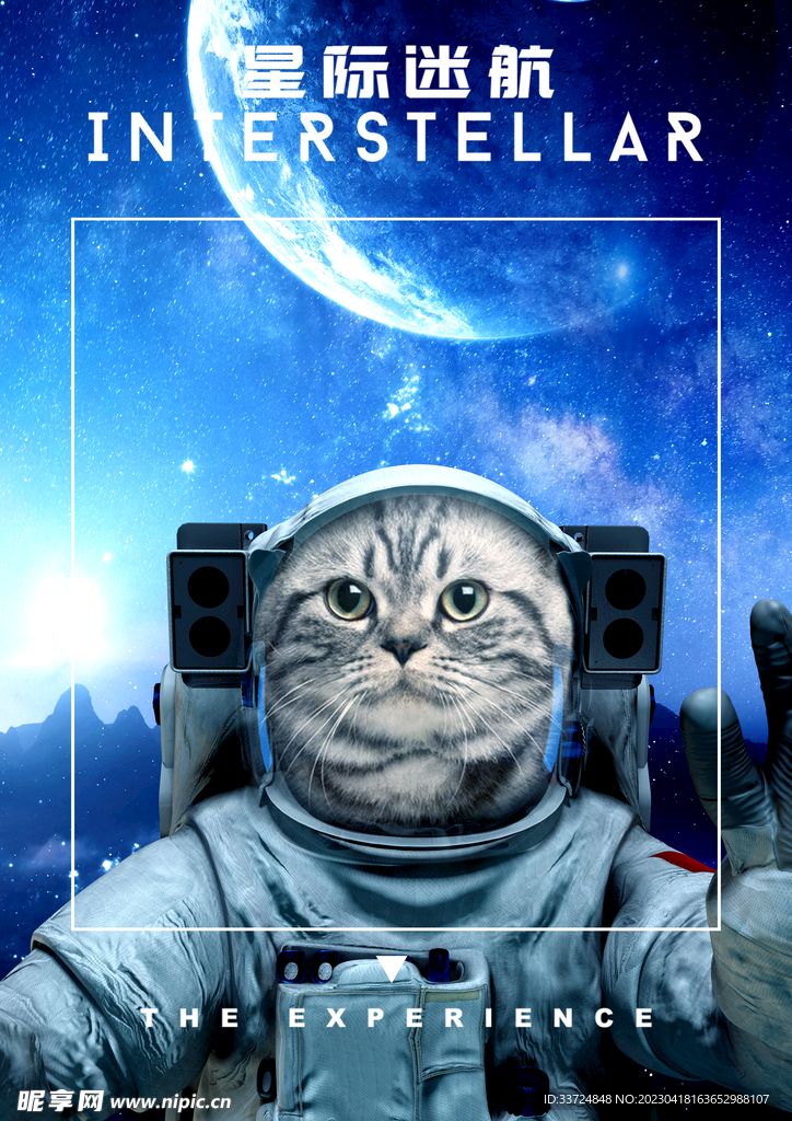 星际猫航员