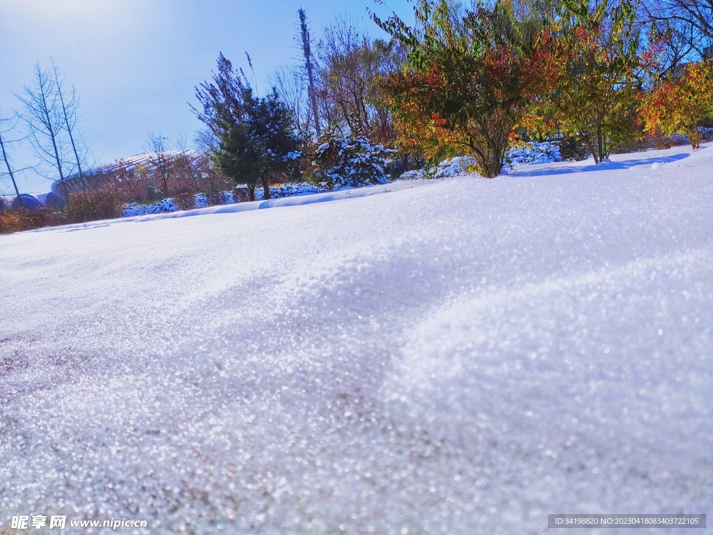 雪后风景