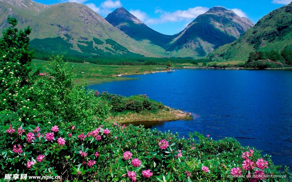 唯美风景