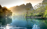 唯美风景