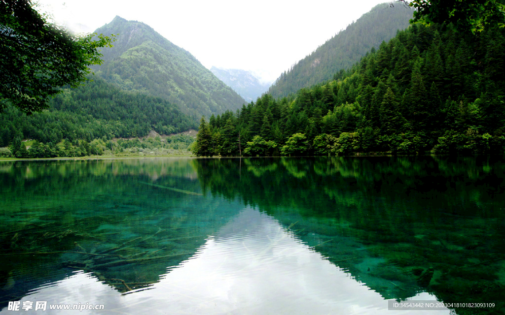 唯美风景