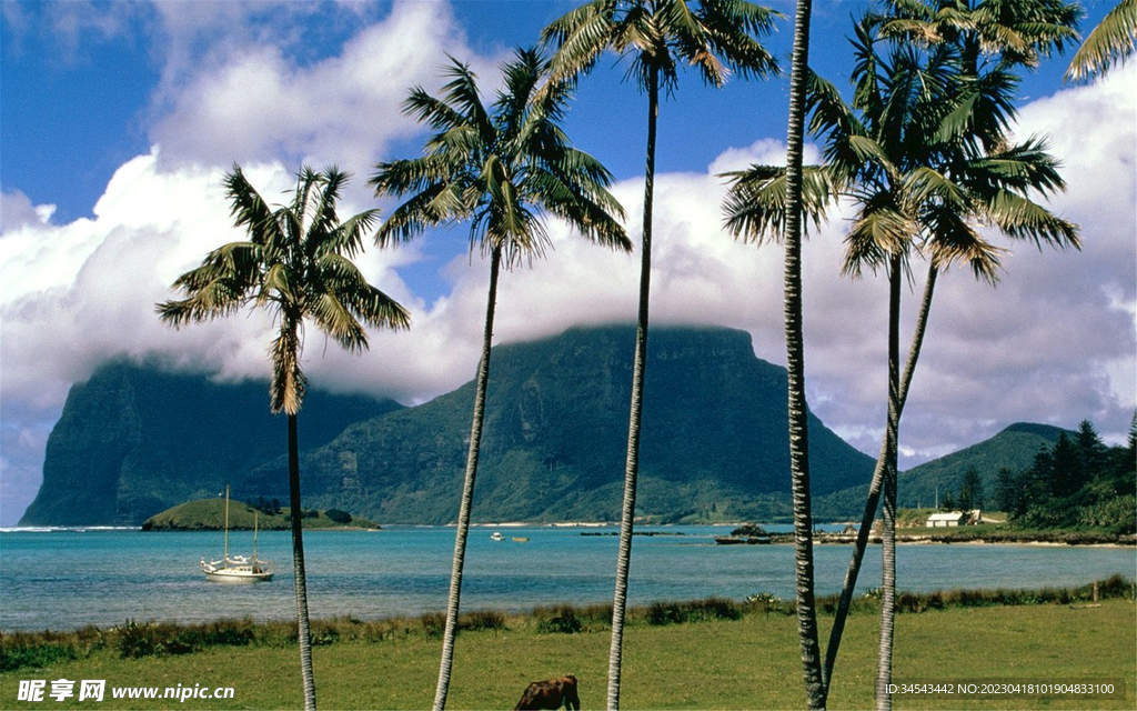 唯美风景