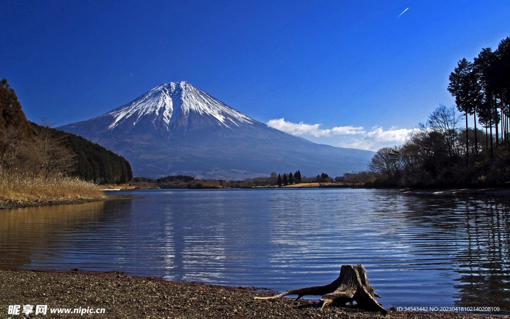 唯美风景