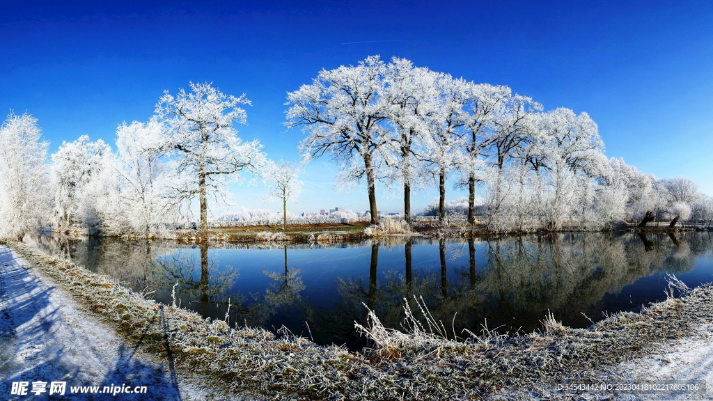 唯美风景