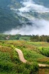 山里人家