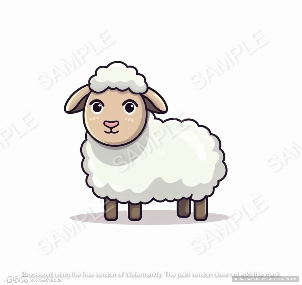 可爱的小羊 正面
