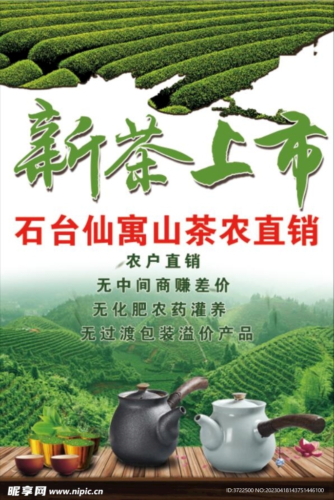 新茶上市  