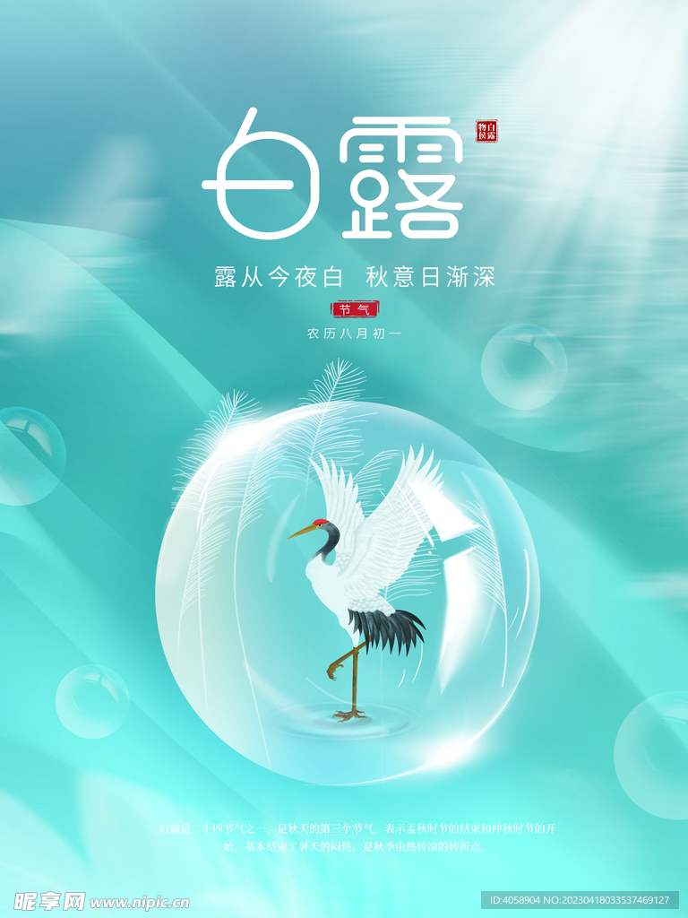 白露