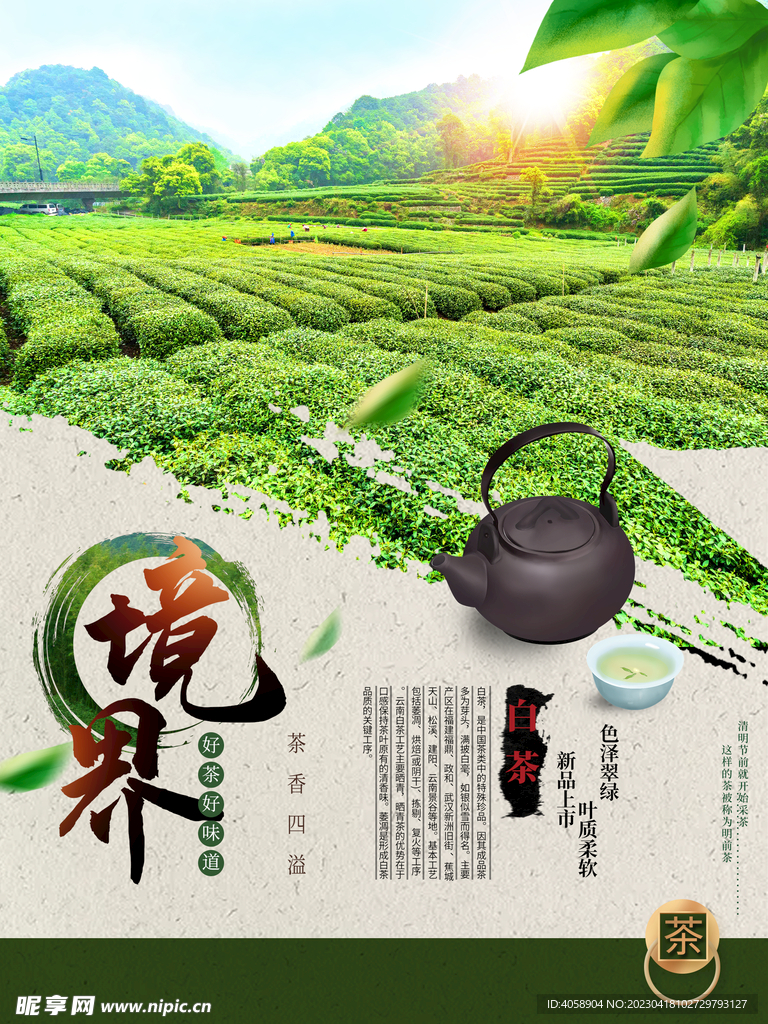 茶