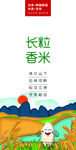 长粒香米