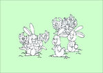 兔子