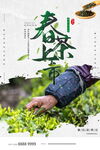 茶 