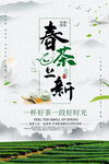 茶叶海报 