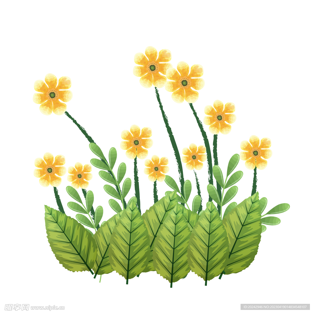   花丛边框 