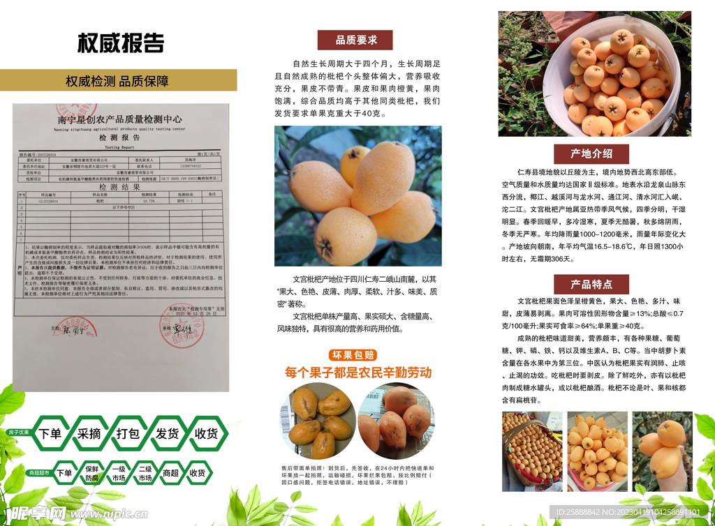 枇杷单页