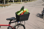 自行车框装着蔬菜