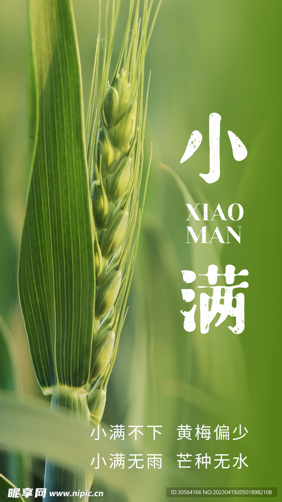 小满