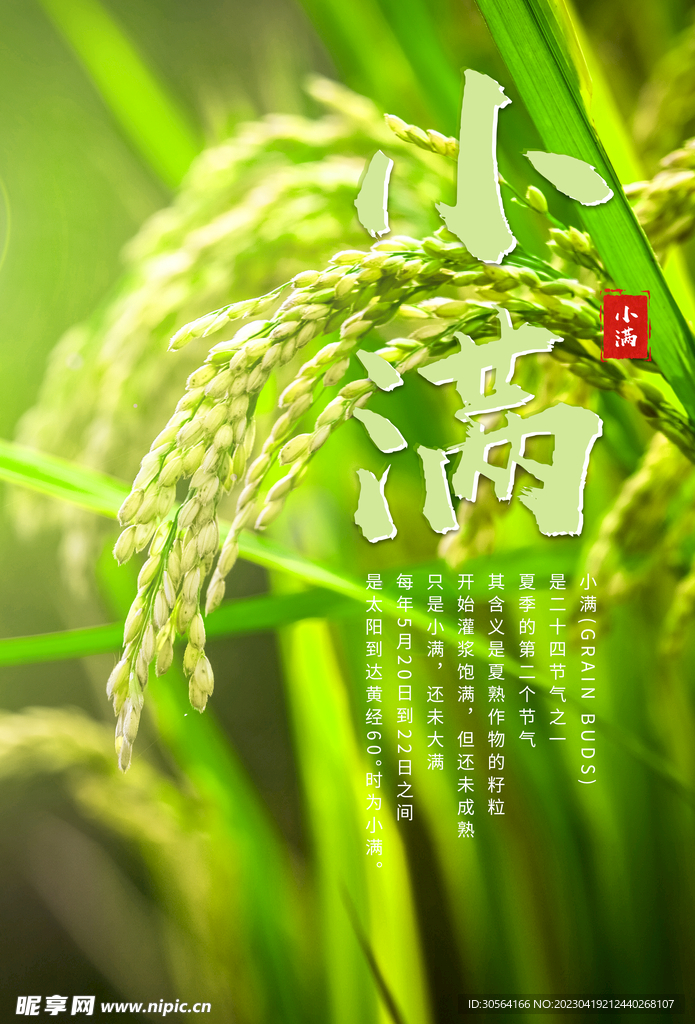 小满