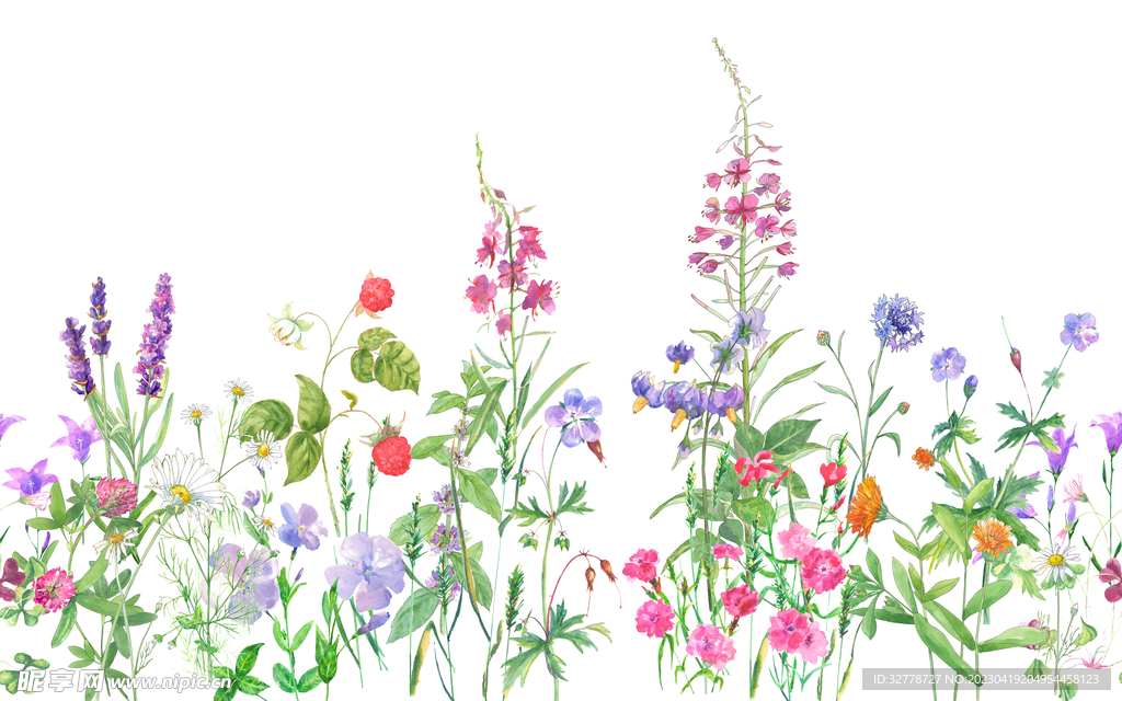 定位花 