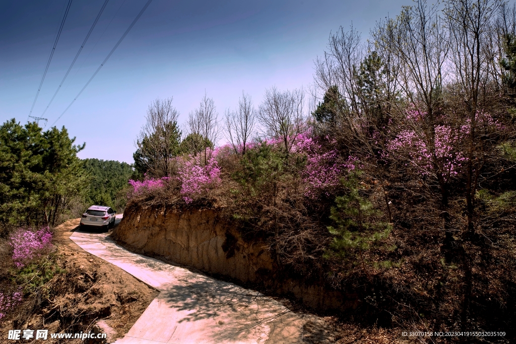 穿行杜鹃山路