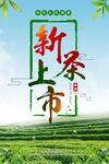 新茶上市