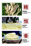 生姜海报