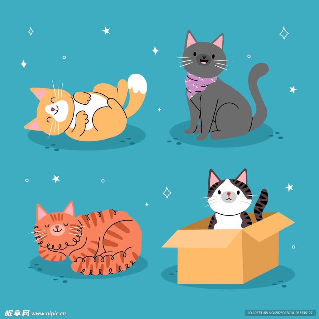 各种猫咪