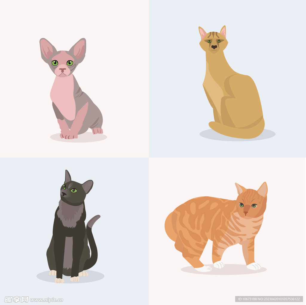 各种猫咪