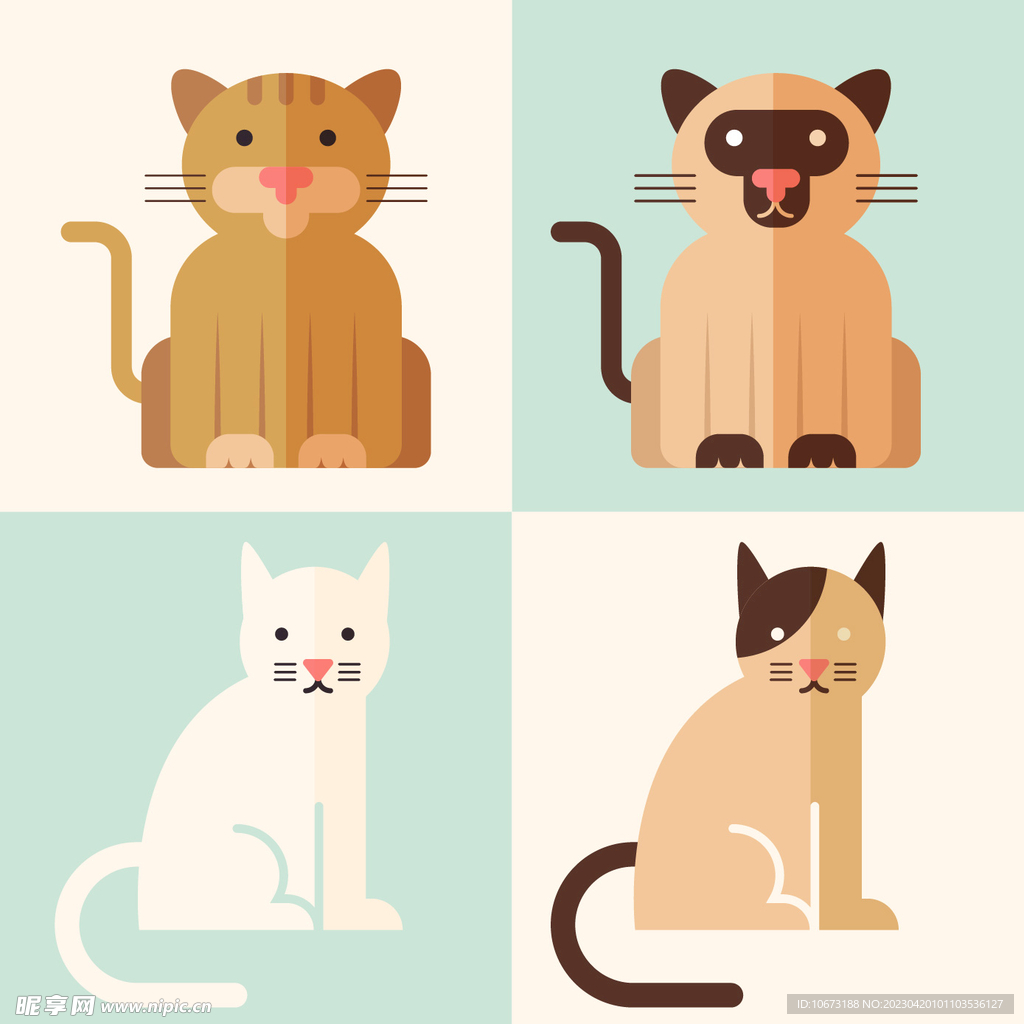 各种猫咪