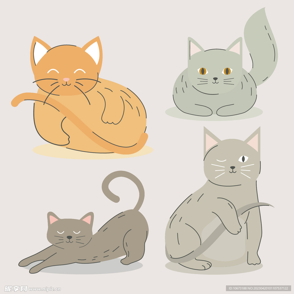 各种猫咪