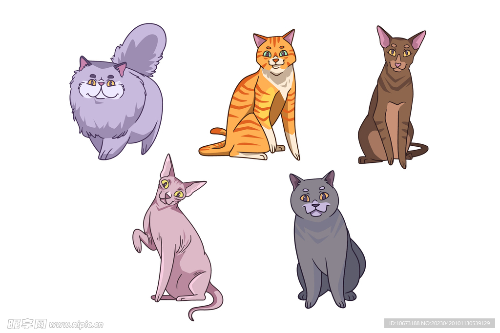 各种猫咪