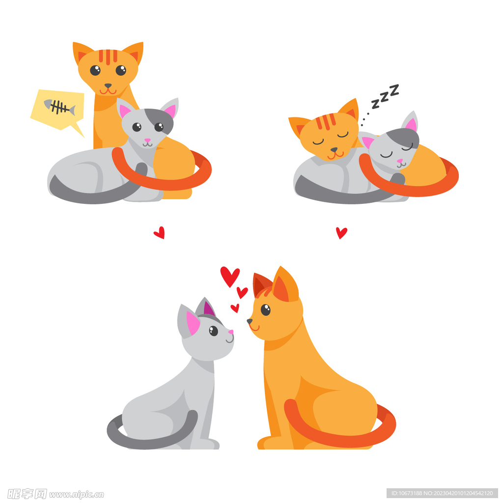 各种猫咪