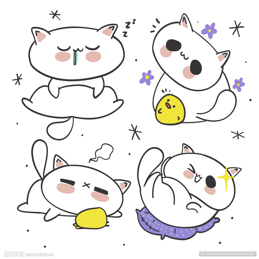 猫咪