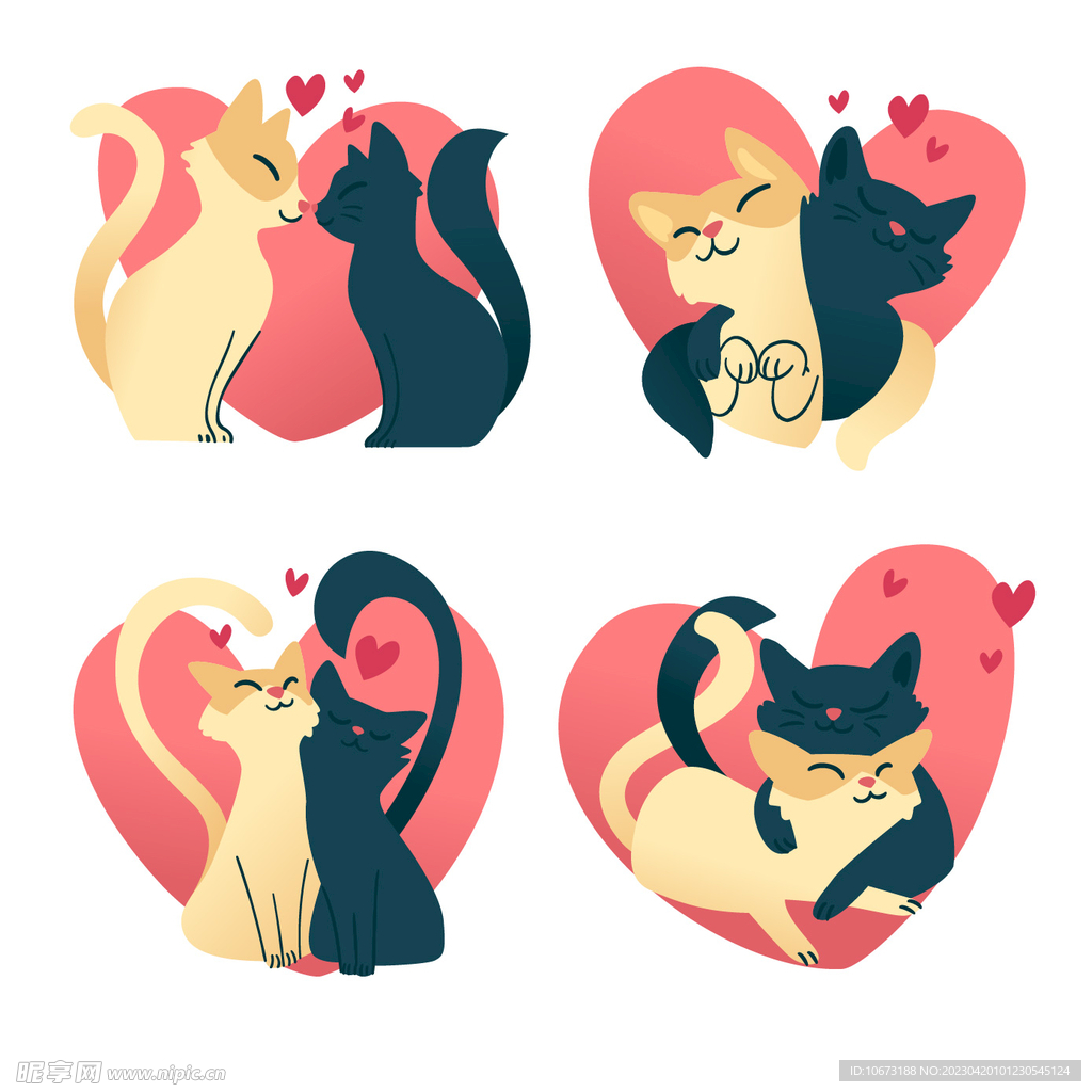 猫咪