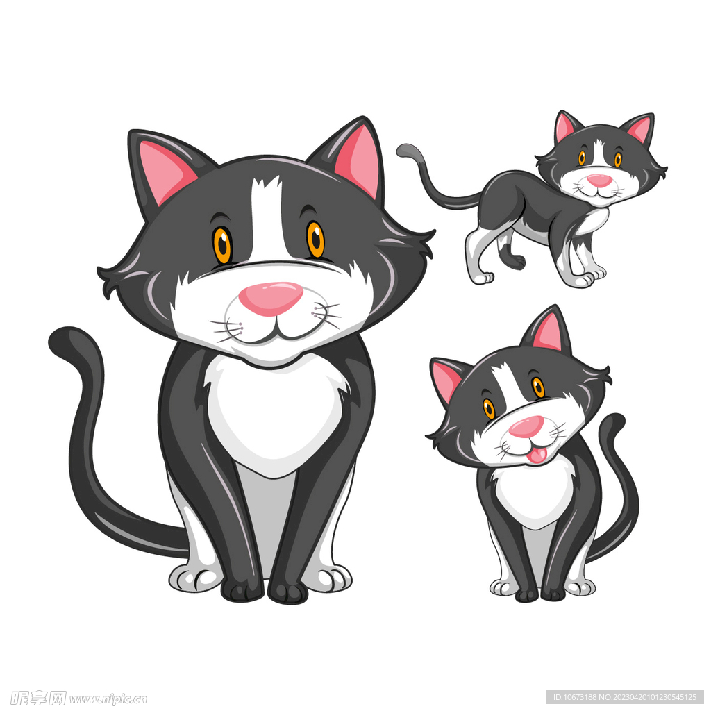 猫咪