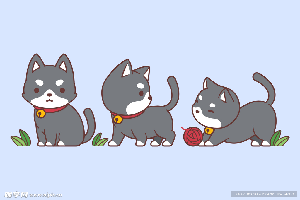 猫咪