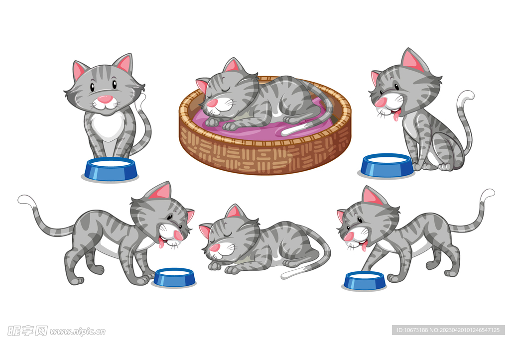 猫咪