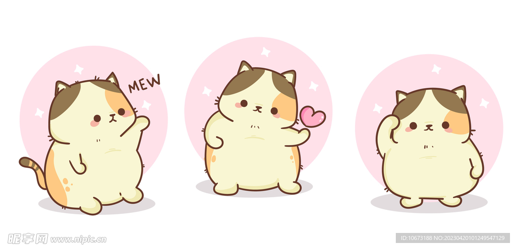 猫咪
