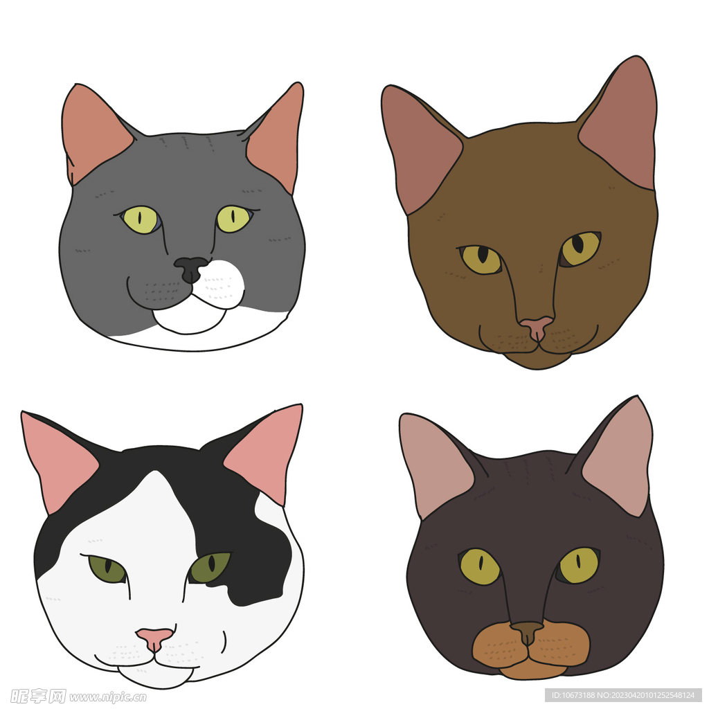 猫咪