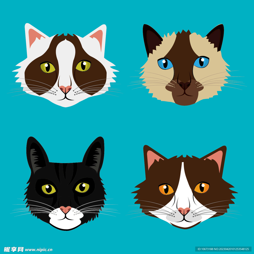 猫咪
