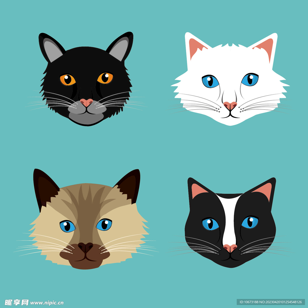 猫咪