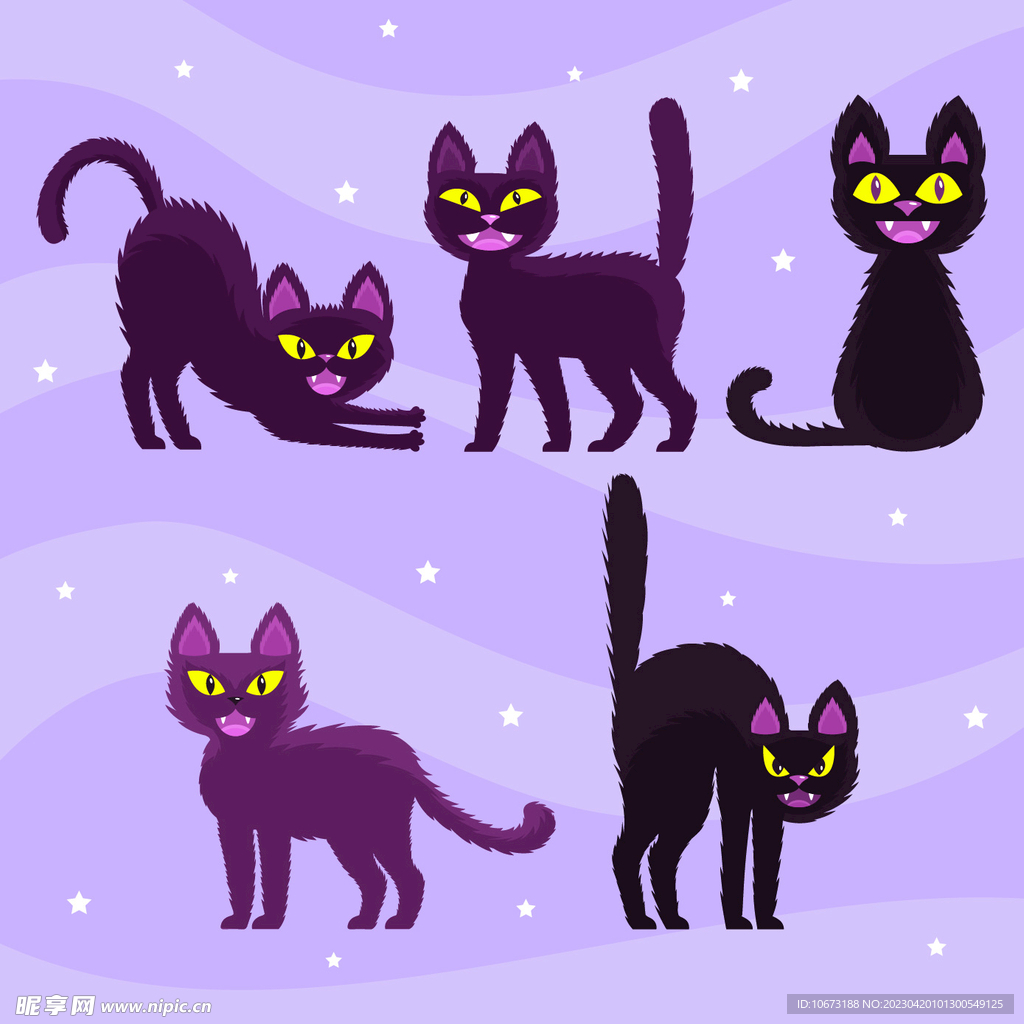 猫咪