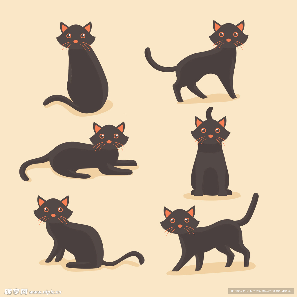 猫咪